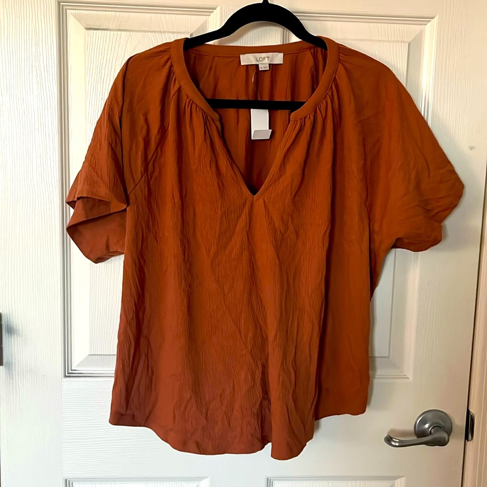 Loft Dolman Blouse
